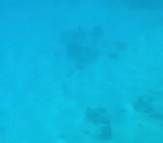 תמונה מהגלריה - מרום גולן