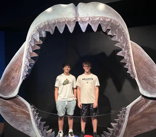 תמונה מהגלריה - מרום גולן